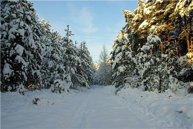 《星球大战绝地：幸存者》PS5版游玩报告 更棒的战斗和操作体验